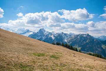 Obraz premium Beautiful swiss alps mountains. Alpine meadows.