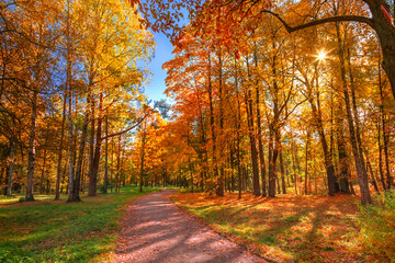 Obraz premium Autumn landscape