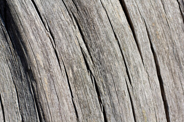Detailed closeup of wood grain on an old split log