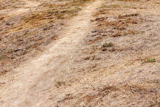 A straight narrow dry path in the steppe with dry yellow-brown grass goes from bottom to top along a small diagonal from left to right