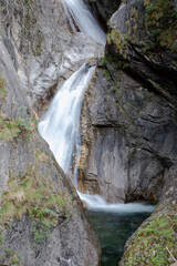 cascate e sottobosco