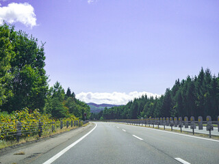 【車より】日本・高速道路・景色