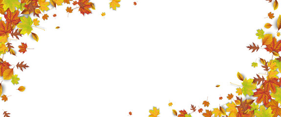 Header Harvest Foliage White Autumn 2