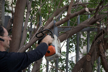 Close-up of woodcutter sawing chainsaw in motion, sawdust fly to sides. Man with the chainsaw. Dangerous job. Powerful chainsaw. Lumberjack hold chainsaw. Gardener lumberjack equipment.