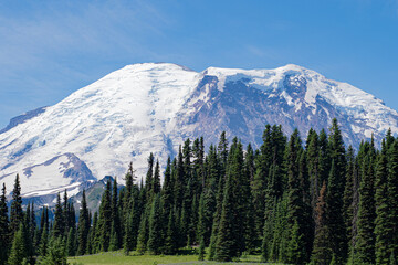snow capped rainier
