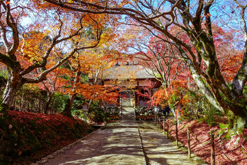 紅葉に染まった京都・嵯峨野の常寂光寺（仁王門）