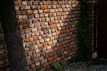tektura, ceglana ściana ze starej cegły rozbiórkowej