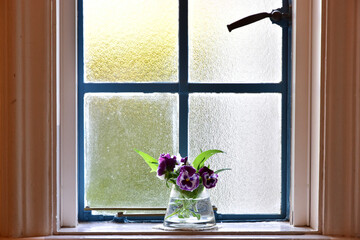 flowers in window