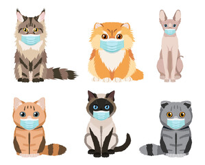 Obraz premium Set of cats wearing face masks: maine coon, persian, siamese, british cat, scottish fold, sphynx. Cute illustrations isolated on white background. Vector collection for your design