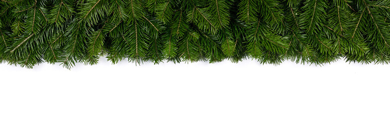 Christmas fir tree on white background