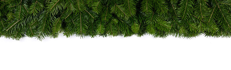Christmas fir tree on white background