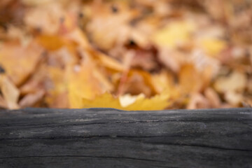  Wooden surface on autumn background