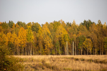 A beautiful picture of the landscape on the autumn evening.