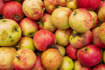 Äpfel