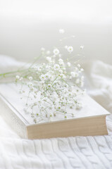 Cozy winter still life opened book. Blurred