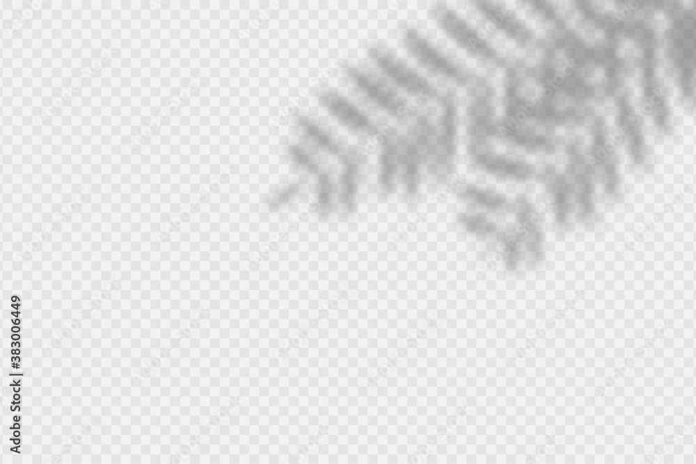 Poster shadow overlay palm branch. transparent overlay shadow effect from palm tree leaves. realistic soft 