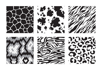 Animals skins patterns. Tiger giraffe zebra leopard vector seamless background. Illustration black and white seamless pattern tiger, giraffe print