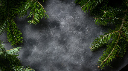 Christmas tree branches on a dark background