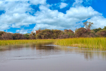 Okavango Wetlands, Okavango Delta, UNESCO World Heritage Site, Ramsar Wetland, Botswana, Africa