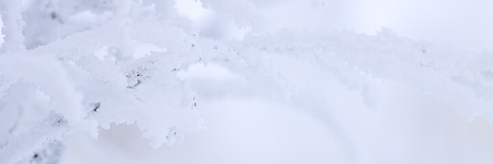 Snow and rime ice on the branches of bushes. Beautiful winter background with trees covered with hoarfrost. Plants in the park are covered with hoar frost. Cold snowy weather. Cool frosting texture.