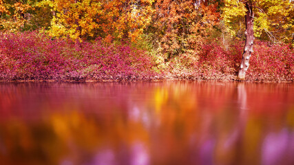 Fototapeta na wymiar Bright colored autumn trees reflecting in calm water