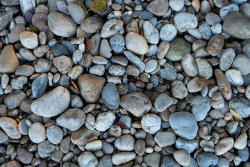 Stones on the beach Danube river Bratislava, Decorative stone wallpaper with nature texture
