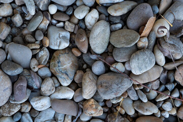 Stones on the beach Danube river Bratislava, Decorative stone wallpaper with nature texture