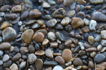 Stones on the beach Danube river Bratislava, Decorative stone wallpaper with nature texture