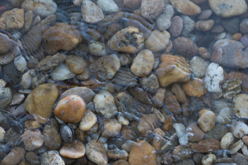 Stones on the beach Danube river Bratislava, Decorative stone wallpaper with nature texture