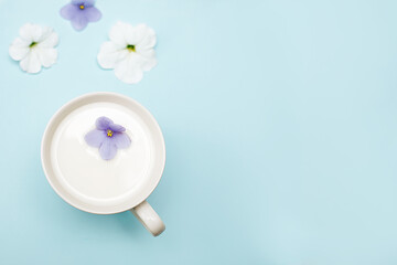Violets in milk water. Beauty and Wellness treatments with flower petals in a milk bath. Summer concept of freshness, purity, tenderness, youth. Copy space, delicate blue background