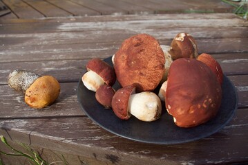 with variety of raw mushrooms on wooden background
