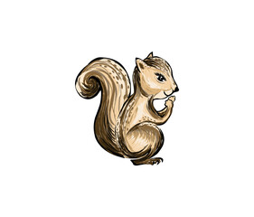 hand painting of a squirrel eating something, hand drawn style vector