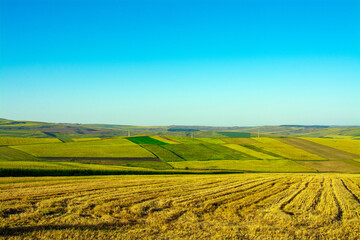 Aerial shot of hills with agricultural crops © Sebastian Albin Fulvius/Wirestock