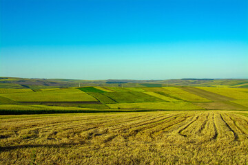 Aerial shot of fields with agricultural crops in autumn © Sebastian Albin Fulvius/Wirestock