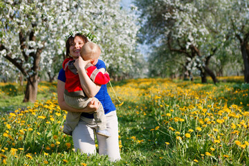 Fototapeta premium family in apple orchard in bloom and dandelion field
