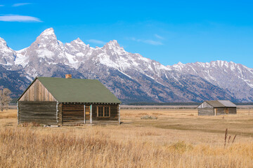 Obraz premium Mormon Row Historic District, Grand Teton National Park