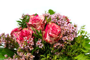 A bouquet of red and white roses and green leaves in front of white background.
