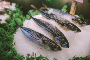 Seafood, Pike Place Market, Seattle