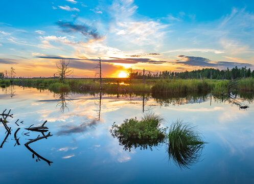 Lake in swamp during sunset with colourful reflections, Kemeri national park, Latvia.