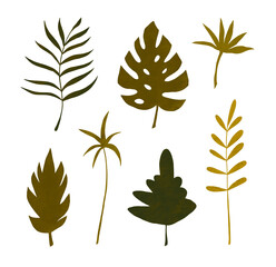 Collection of leaves and plants. Modern hand drawn illustration on white background