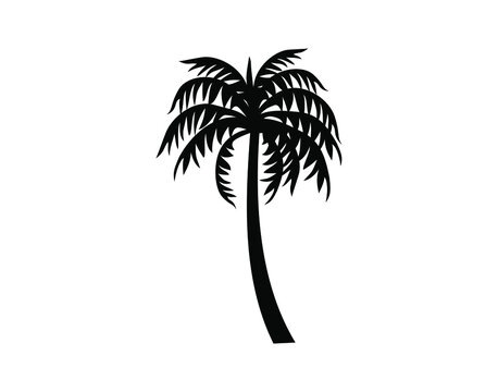 Palm Tree Icon Vector. Coconut Tree Silhouette