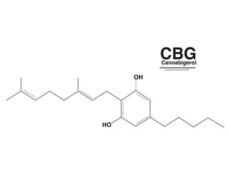 CBG - Cannabigerol
Das Phytocannabinoid ist die Vorstufe in Form der Cannabigerolsäure zur Bildung von unter anderem THC und CBD. 