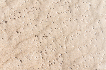Abstract of sand background, close-up.