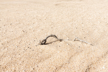 Abstract of sand background, close-up.