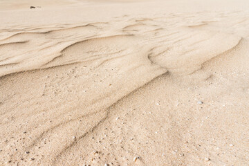 Abstract of sand background, close-up.