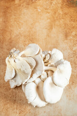 closeup raw and fresh Oyster mushroom on table