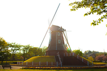 平和な公園でのひととき