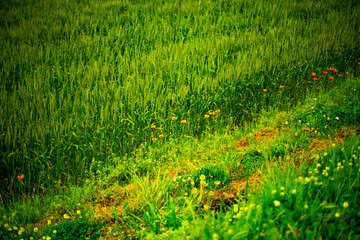 大自然の空間でのひと時です