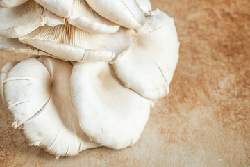 Fototapeta na wymiar raw and fresh Oyster mushroom on table with copy space