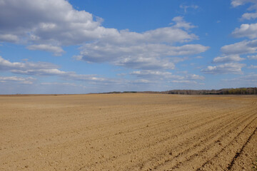 A plowed agricultural field. Blue sky over a farm field.